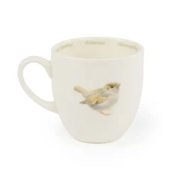 Tasse Haussperling