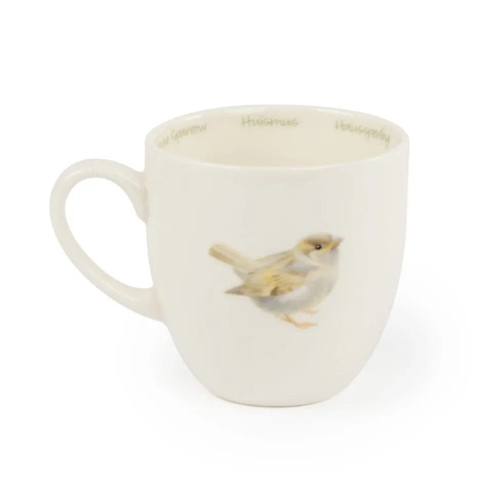 Tasse Haussperling