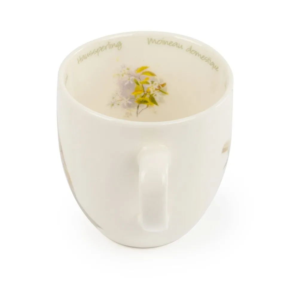 Tasse Haussperling