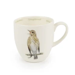 Tasse Singdrossel