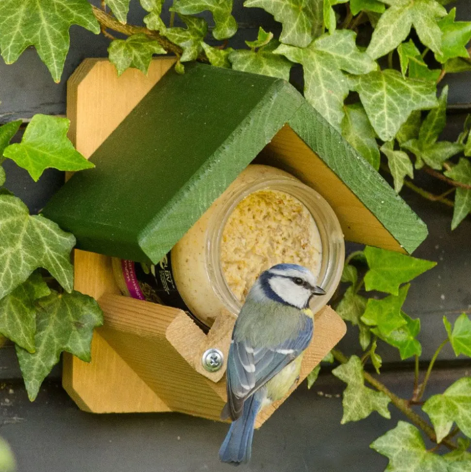 Variationspaket mit 5 Gläsern Vogel-Erdnussbutter (4 Sorten)