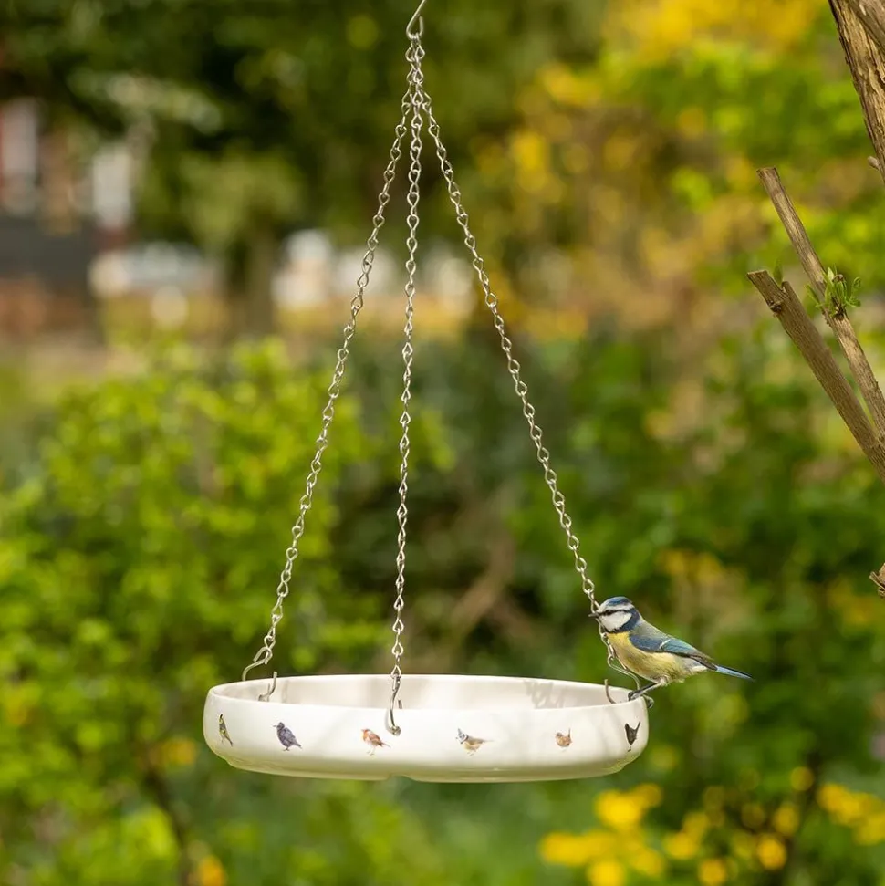 Vogeltränke Gartenvögel