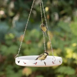 Vogeltränke Gartenvögel