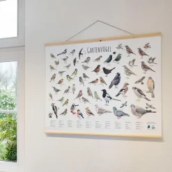 Wandkarte Gartenvögel