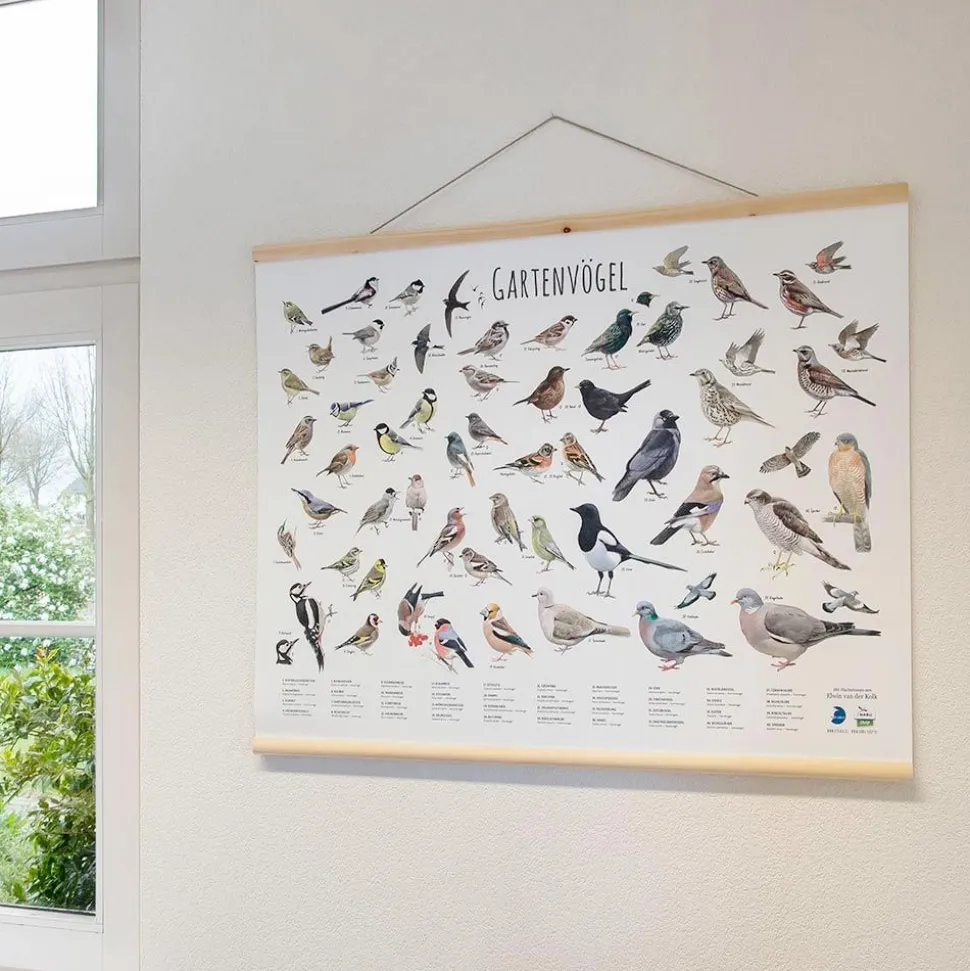 Wandkarte Gartenvögel