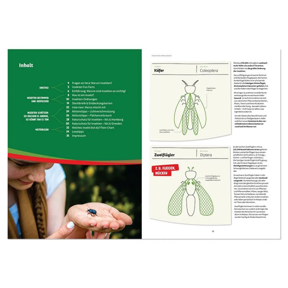 Who the Bug: Insekten entdecken, bestimmen und schützen