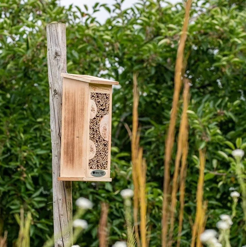 Wildbienenhotel Floreana