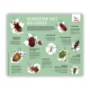 Wundersame Welt der Wanzen: Poster
